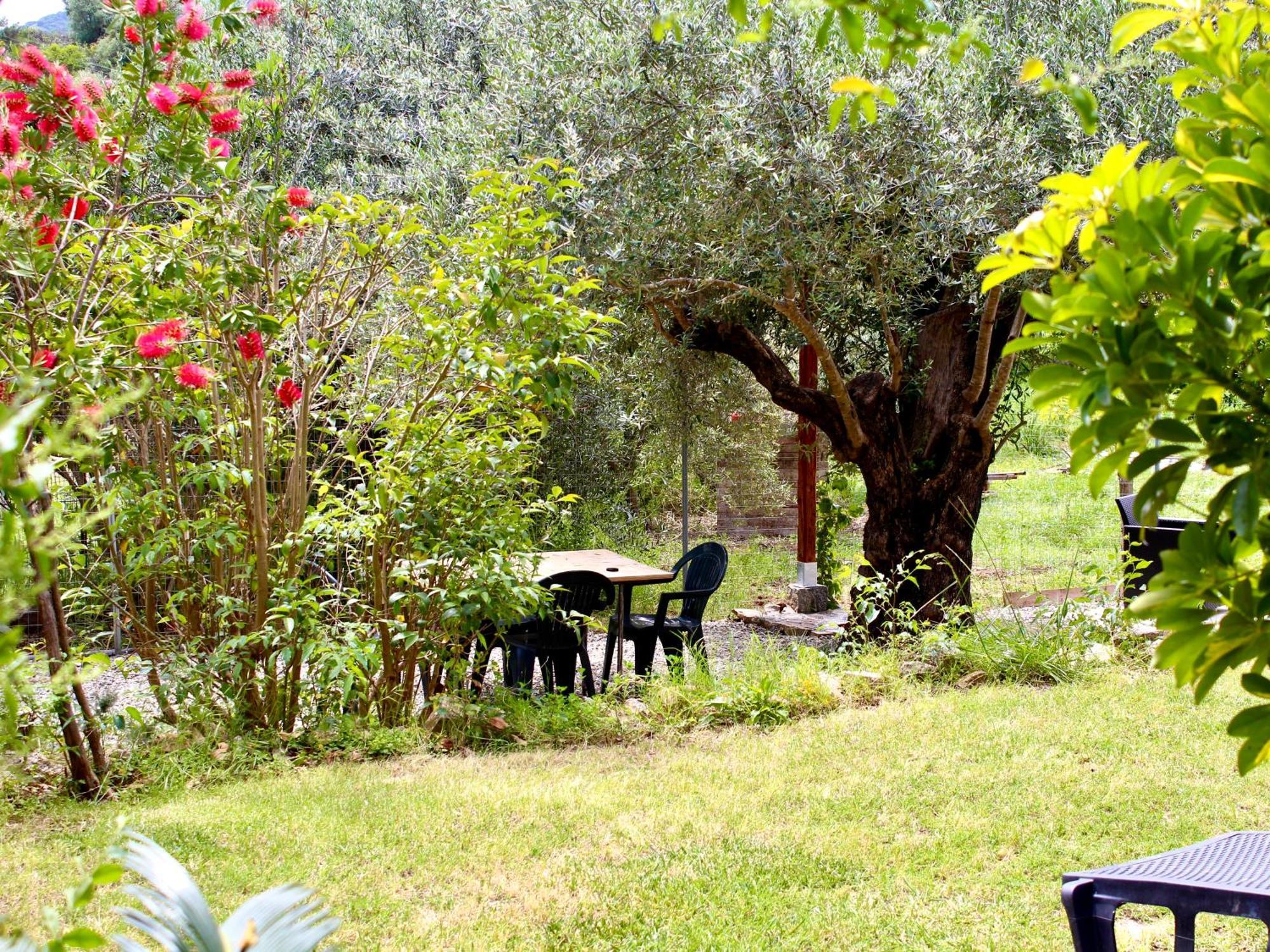 Villa Pelau - Holiday Home Jerzu Eksteriør billede